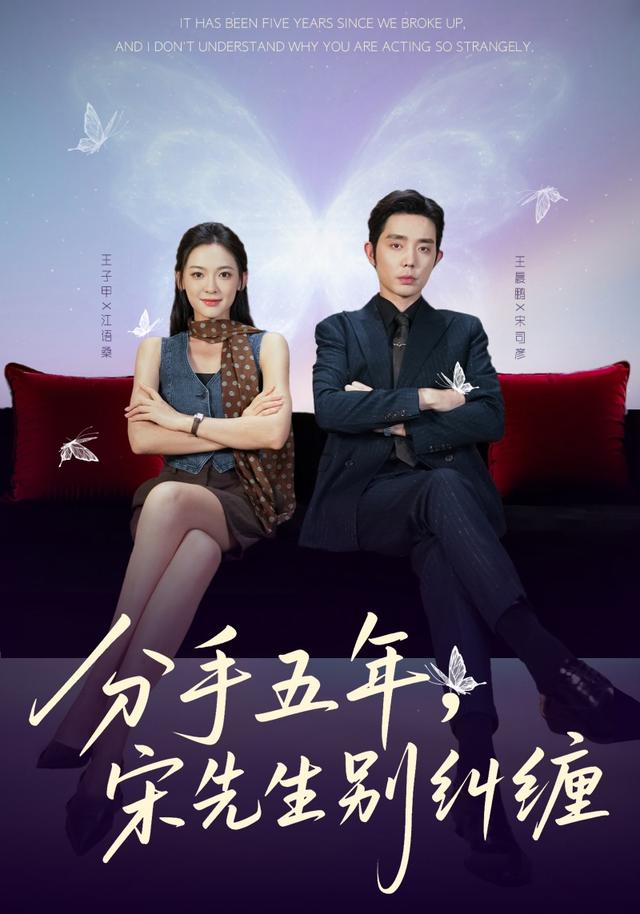 分手五年，宋先生别纠缠海报